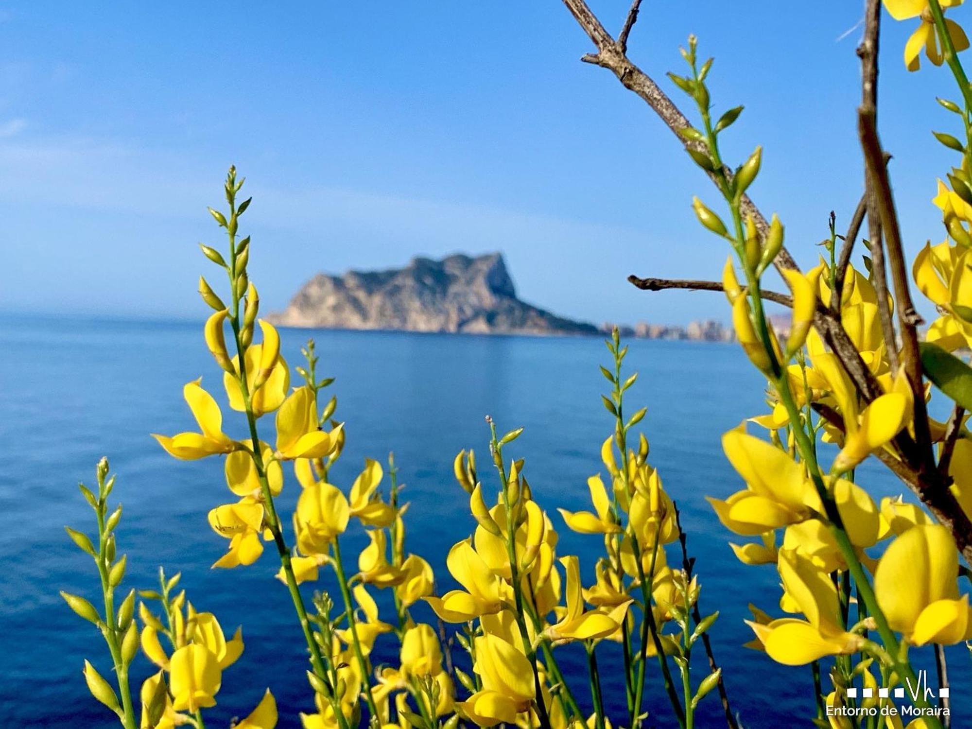 Vh Costablanca - Eva Villa Calpe Buitenkant foto